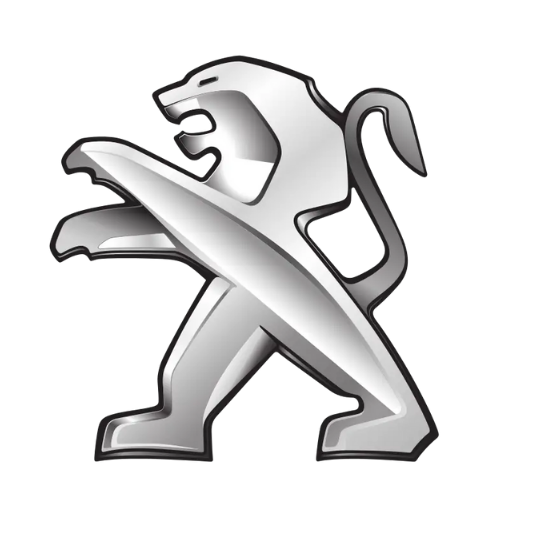 Client Logo